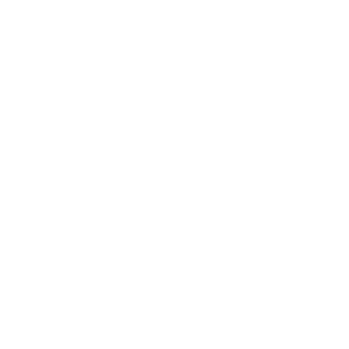 צים